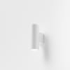 Miniatura Immagine principale 1