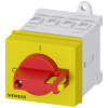 Miniatura Immagine principale 1