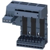 Miniatura Immagine principale 1