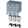 Miniatura Immagine principale 1