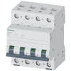 Miniatura Immagine principale 1