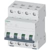 Miniatura Immagine principale 1