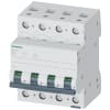 Miniatura Immagine principale 1