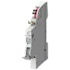 Miniatura Immagine principale 1