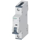 SIEMENS - Interruttore magnetotermico 230/400 V 10 kA, a 1 polo, D, 2 A, P=70 mm 5SY41028