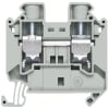 Miniatura Immagine principale 1