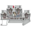 Miniatura Immagine principale 1
