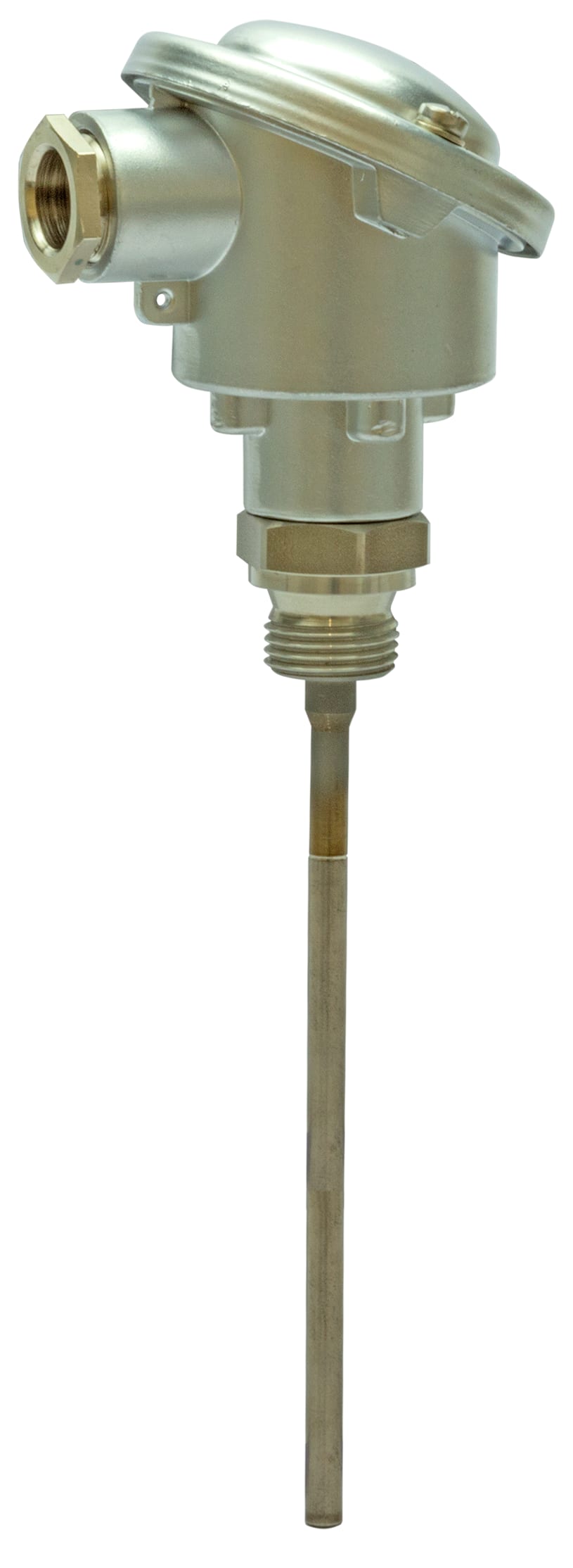 SIEMENS - Sonda T ad immersione attiva