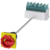Miniatura Immagine principale 1