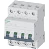 Miniatura Immagine principale 1