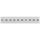 SIEMENS - Targhetta di siglatura, frontale, con 31-40, verticale, larghezza del morsetto: 6,2 mm