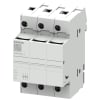 Miniatura Immagine principale 1