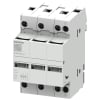 Miniatura Immagine principale 1