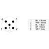 Miniatura Diagramma del circuito 2