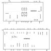 Miniatura Diagramma del circuito 3
