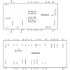 Miniatura Diagramma del circuito 3