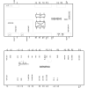 Miniatura Diagramma del circuito 3