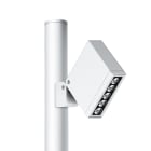 SIMES - KEEN PALO +LED 940FM D2/P BIA