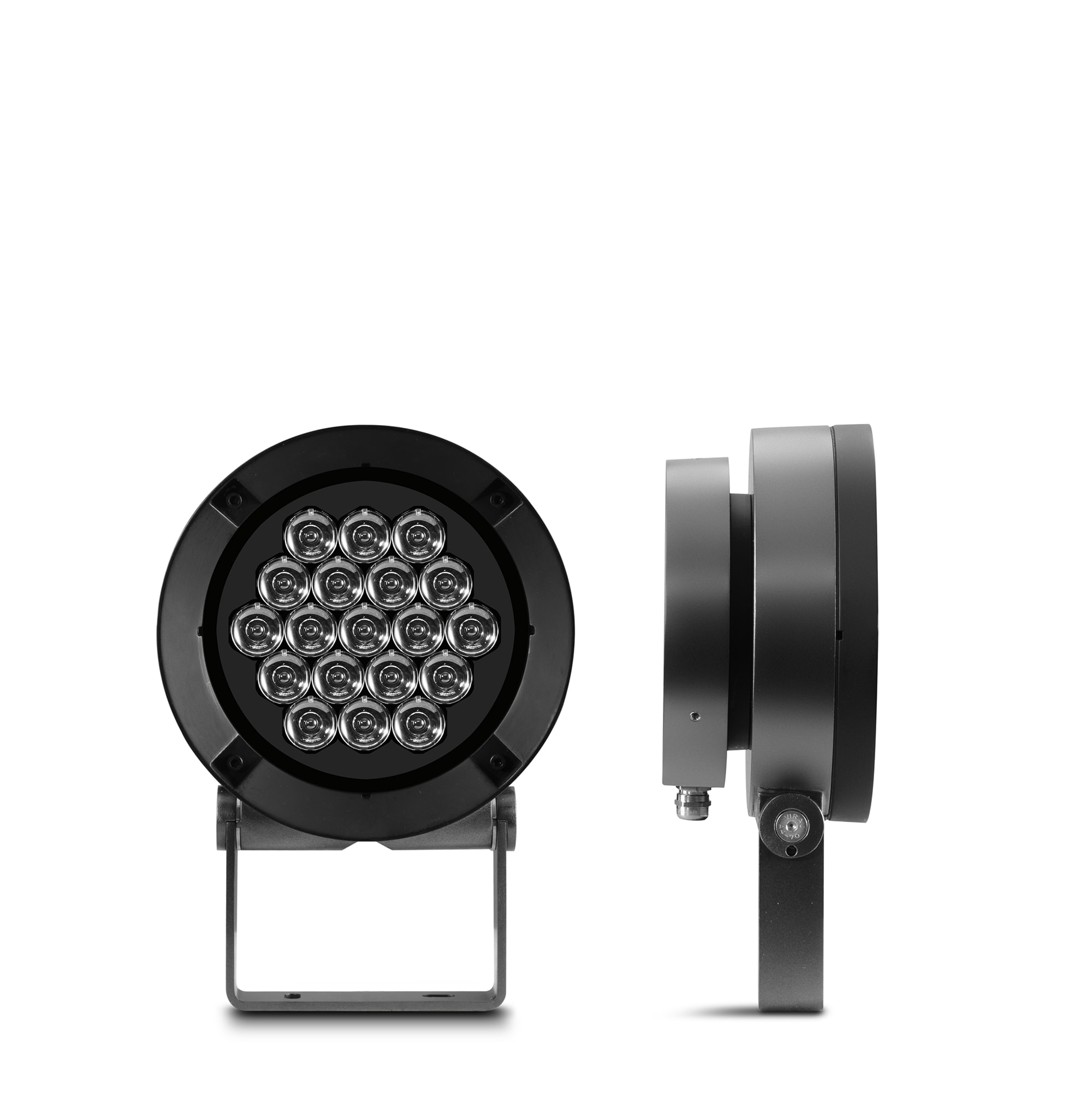 SIMES - POINTER +L830 FS D2/P ANT