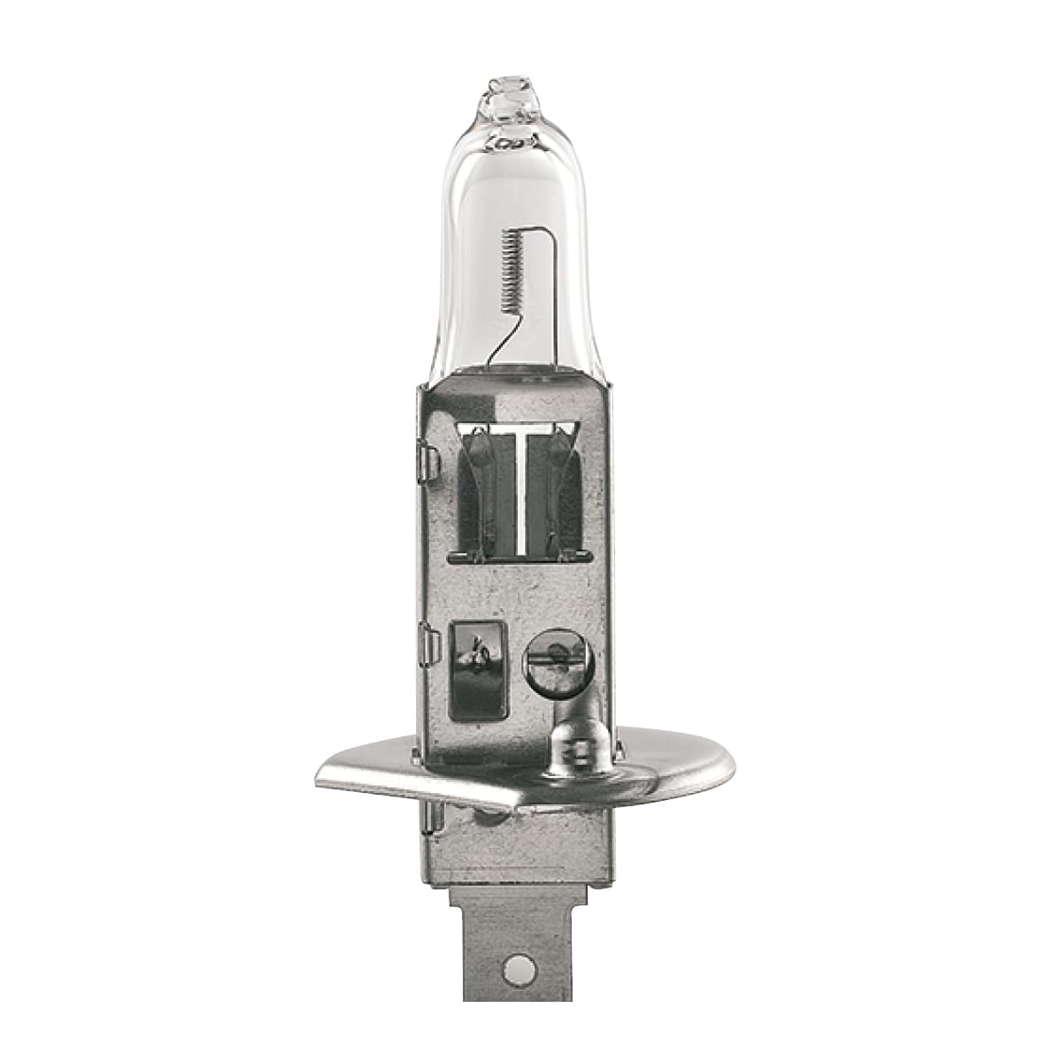 SIRENA - lampada H1 70W V24 1PZ 71603