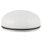 SIRENA - MLINE Luce a LED BIANCA fissa/lampeggiante/strobo lente opalina IP66 multitensione