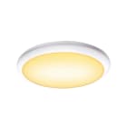 SLV - RUBA 42 CW, PARETE/PLAFONE LED PER ESTER