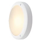 SLV - BULAN, PARETE/PLAFONE, OUTDOOR C35, QC35