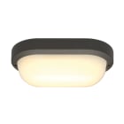 SLV - TERANG 2, PARETE/PLAFONE, LED, 3000K, IP