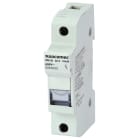 SOCOMEC ELETTROTECNICA - RM - 32A - 10X38 - 1P+N (1 MODULO) - APP