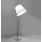 ARTEMIDE - MELAMPO TERRA
