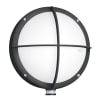 Miniatura Immagine principale 1