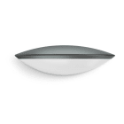 STEINEL - L 825 LED IHF ANTRACITE BLUET LAMPADA X 059903