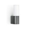 Miniatura Immagine principale 1