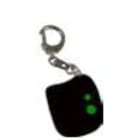 STS ELETTRONICA - RADIOCOMANDO BICANALE SUPPLEMENTARE