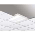 TEC-MAR - INDI 48W 3000K CRI>80 MOD.LD + DALI2 PUS