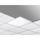 TEC-MAR - DASIA 38W 4K CRI>80MODQP UGR<19+DALI2 PU