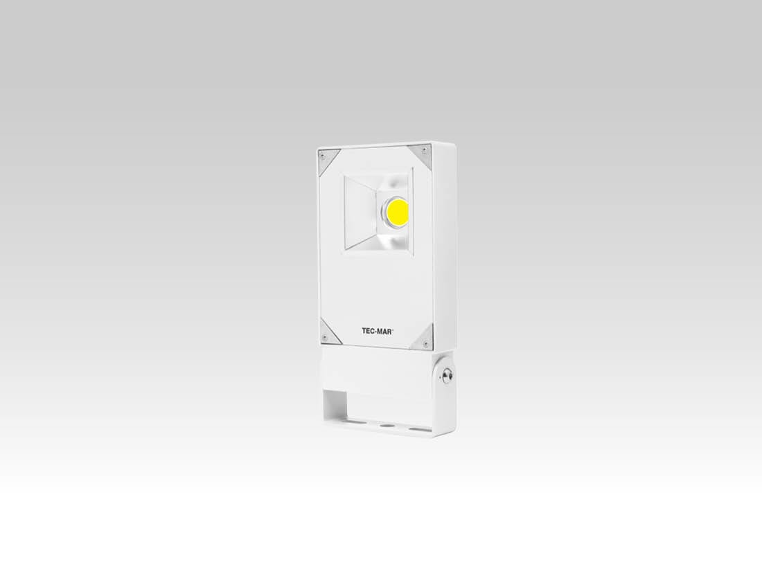 TEC-MAR - POLAR 1 50W 4K CRI 80 MOD.PR + D2 (BIANC