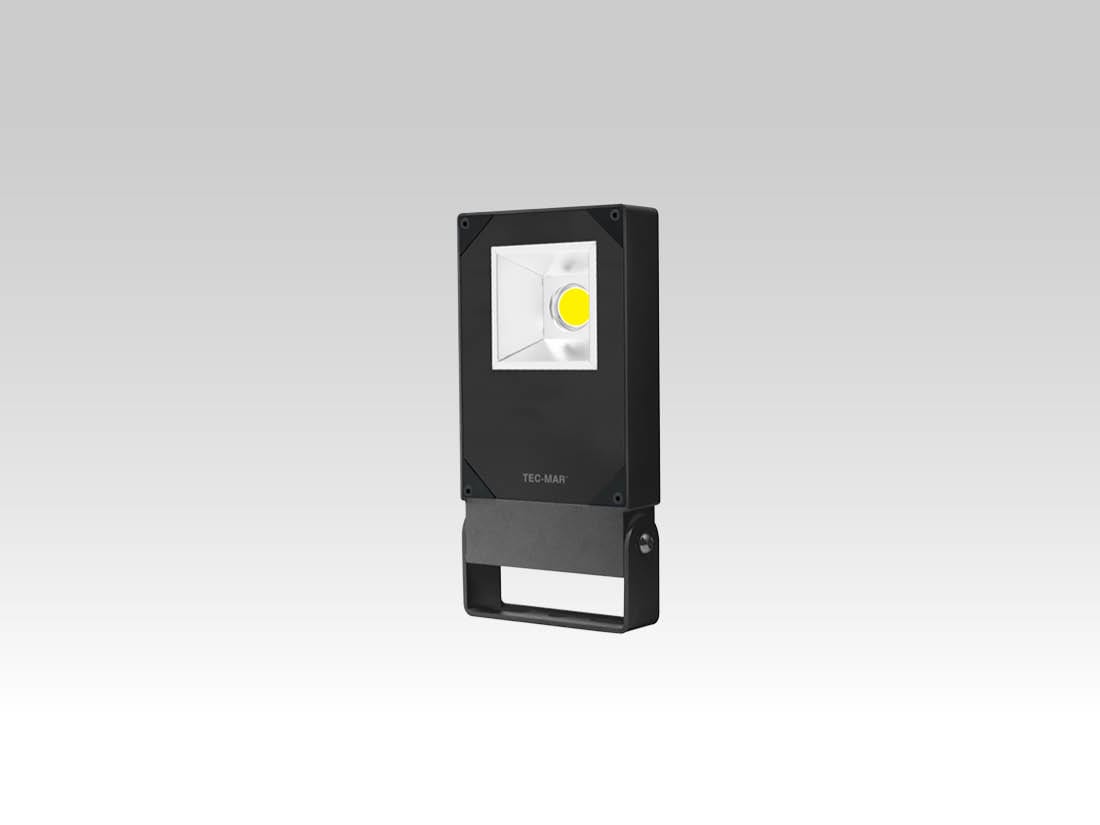 TEC-MAR - POLAR 1 50W 5000K CRI>80 PR + VETRO ACID