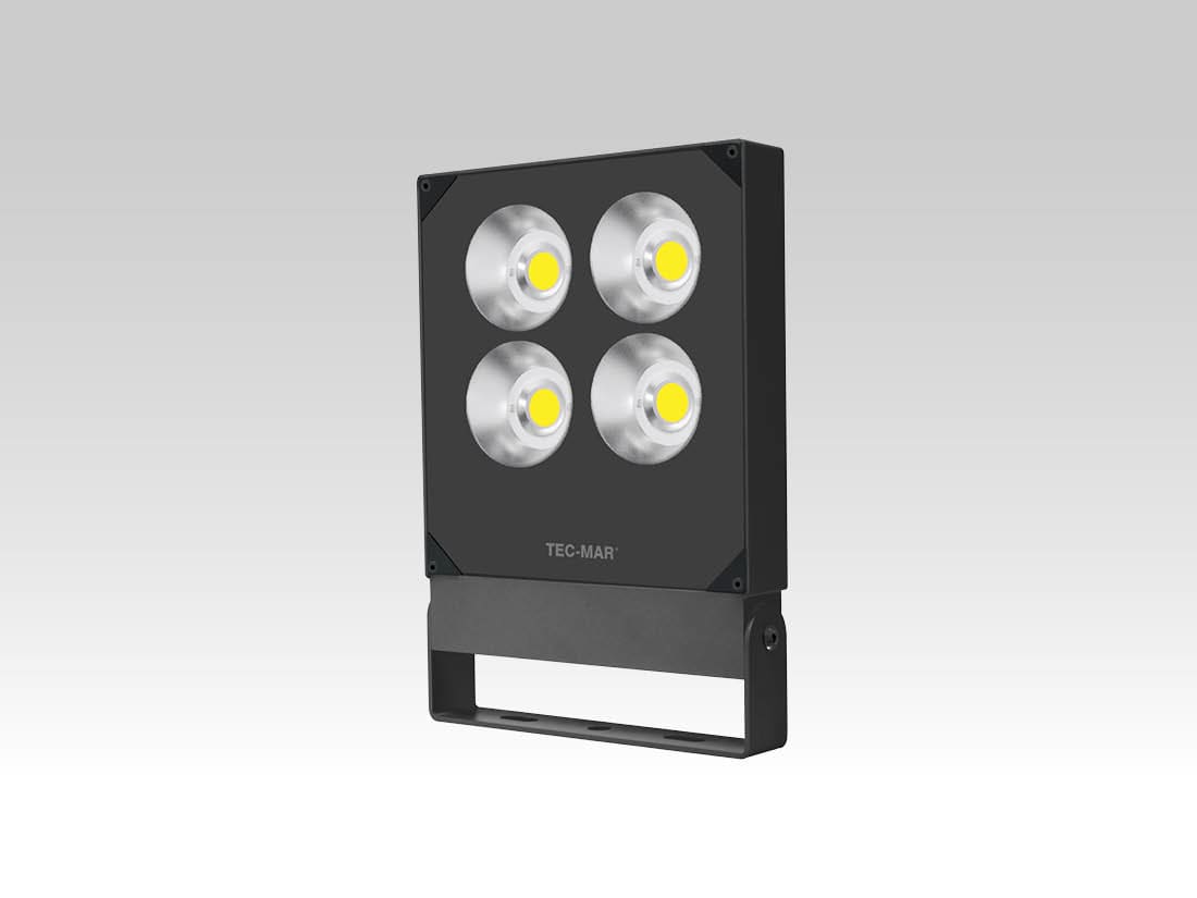 TEC-MAR - POLAR HP 100W 5700K CRI>80 CR + CLASSE I