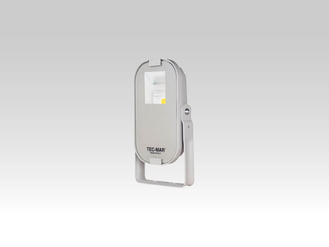 TEC-MAR - LORDINO 50W 3K MOD.RR CRI 80 + D2 (SILVE