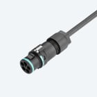 TECHNO - Mini Connettore Spina 4p Vite D7-13.0 IP66/IP68/IP69