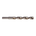 MILWAUKEE - PUNTA HSS-G 12,5X151