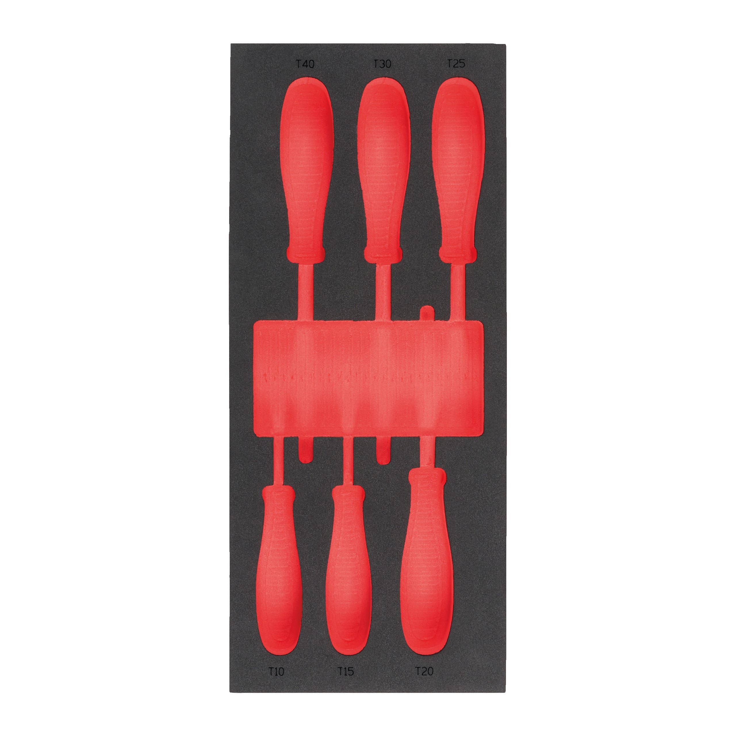 MILWAUKEE - MODULO VUOTO SET GIRAVITI TORX N2