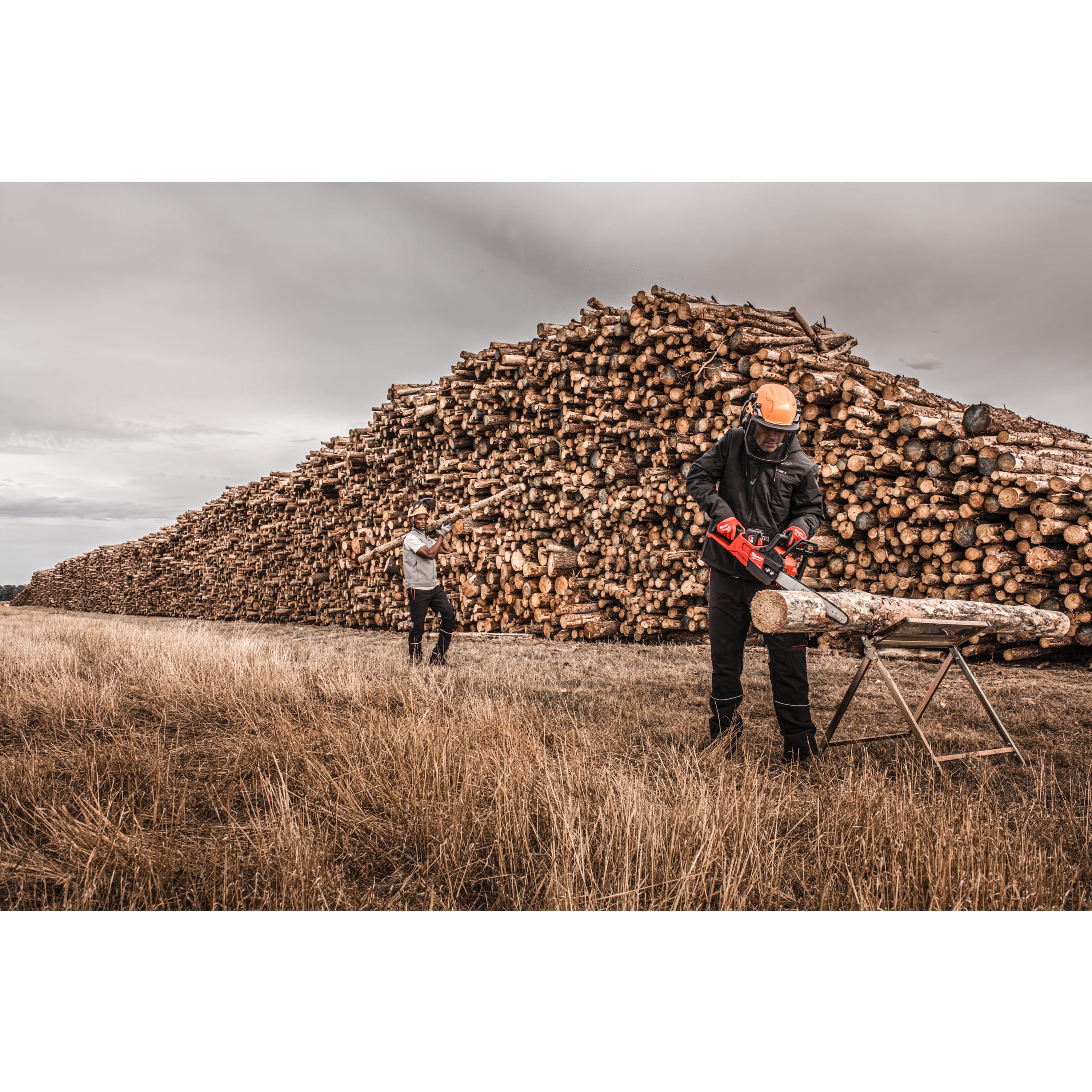 MILWAUKEE - VISIERA TOT BOLT UNIVERSAL A RETE - 1PZ