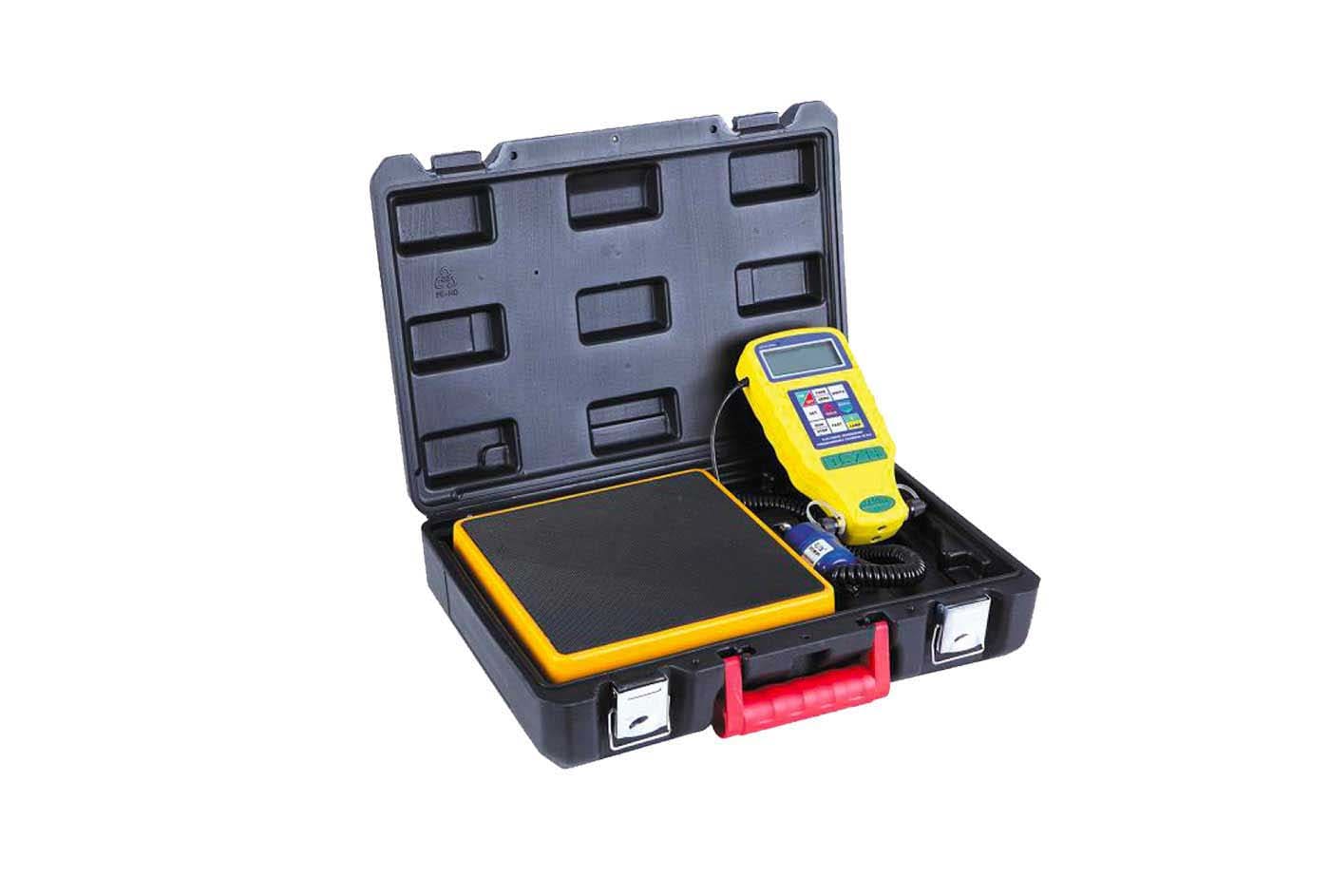 TECNOSYSTEMI - BILANCIA PROGRAMMABILE ELETTRONICA CON E