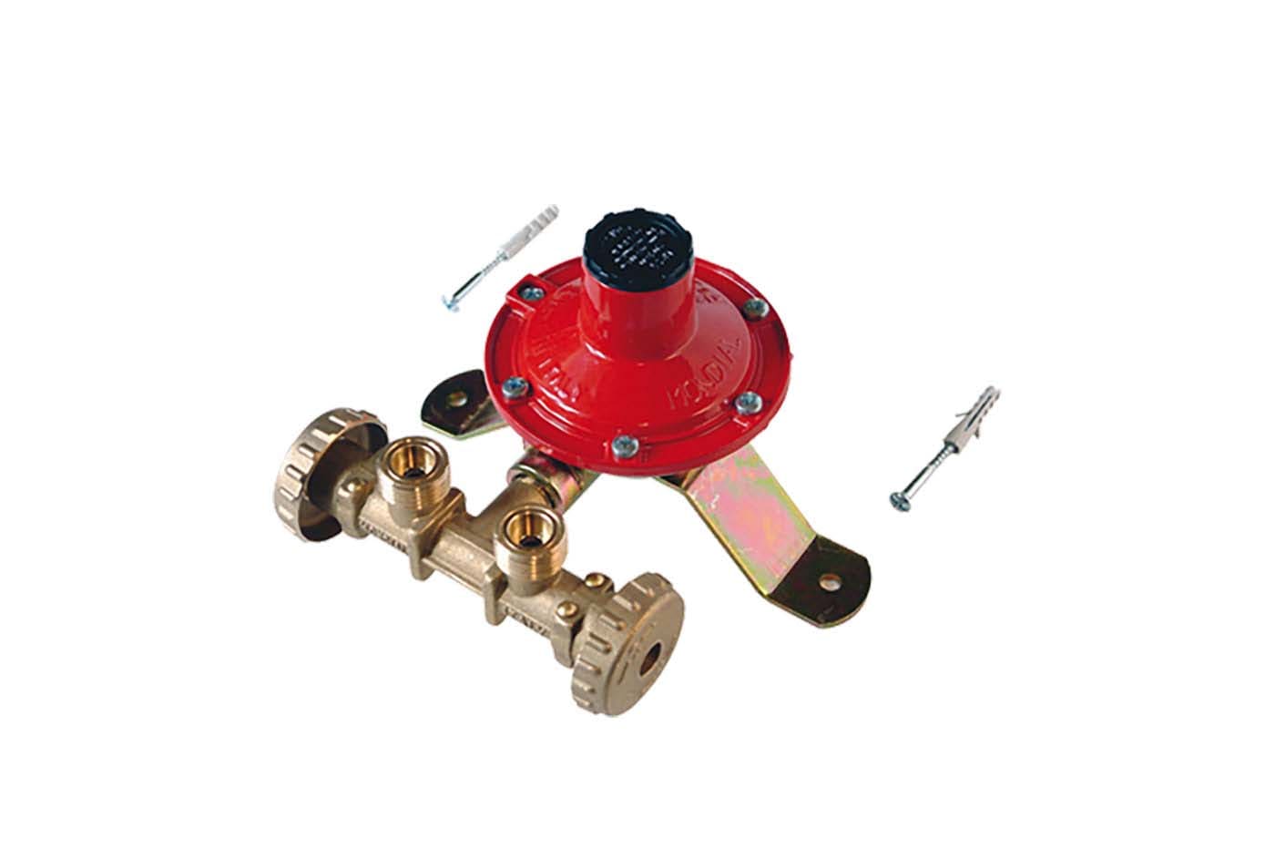 TECNOSYSTEMI - MINICENTRALINA PER 2 BOMBOLE DA 10 KG/H
