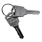 TELEVES - Set di 2 chiavi per rack 19 a pavimento e porta anteriore.