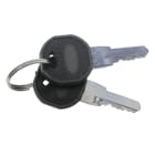 TELEVES - Set di 2 chiavi per rack 19 a parete e pavimento, porta anteriore.