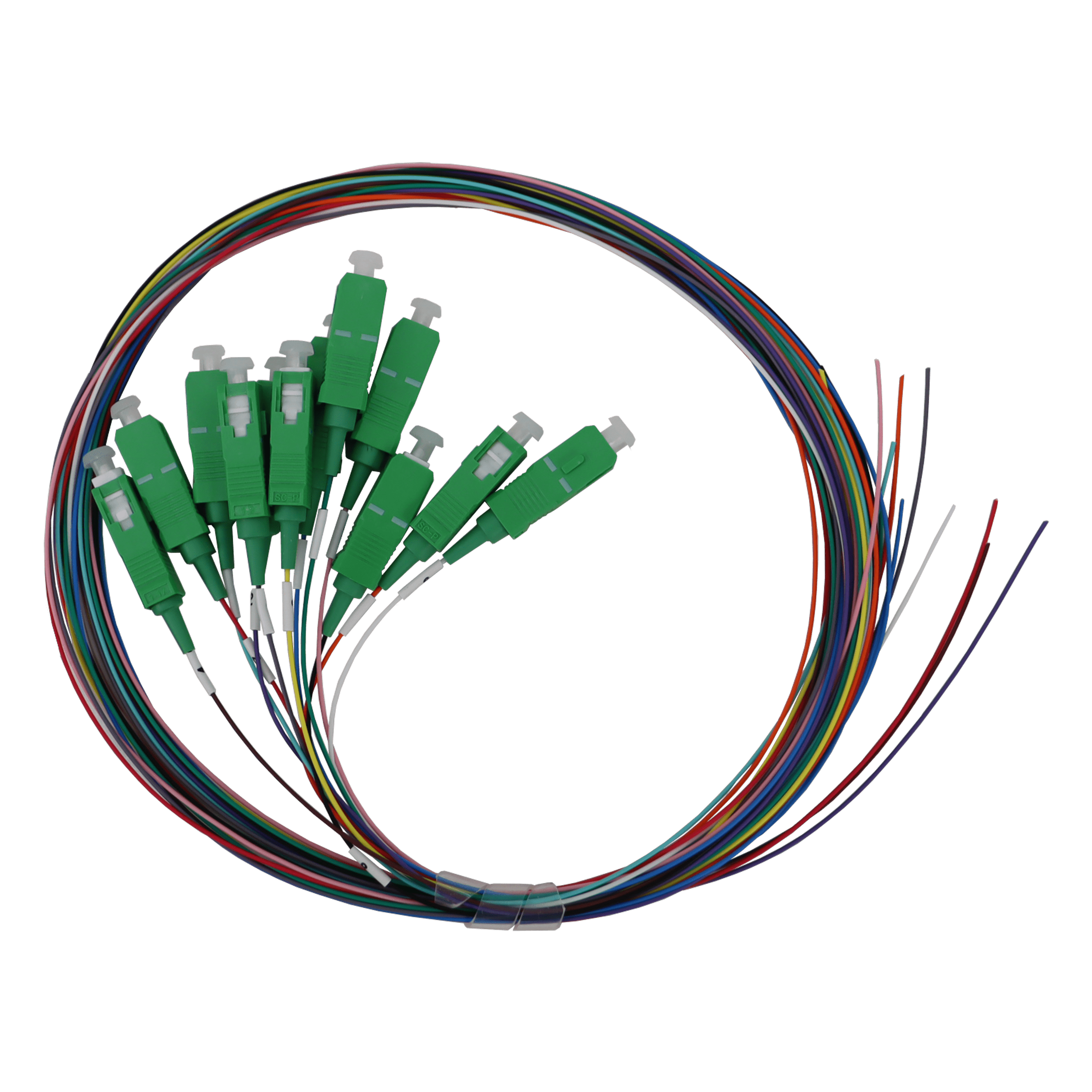 TELEVES - 12 bretella pigtails SC/APC, monomodale (SM), LSFH da interno 900um FO.