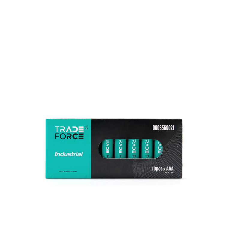 TRADEFORCE - Batteria ministilo aaa 1,5 v 1270 mah 10 pezzi